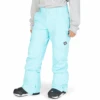 DC Nonchalant Youth Snow Pants -ELAN Shop DC NONCHALANT