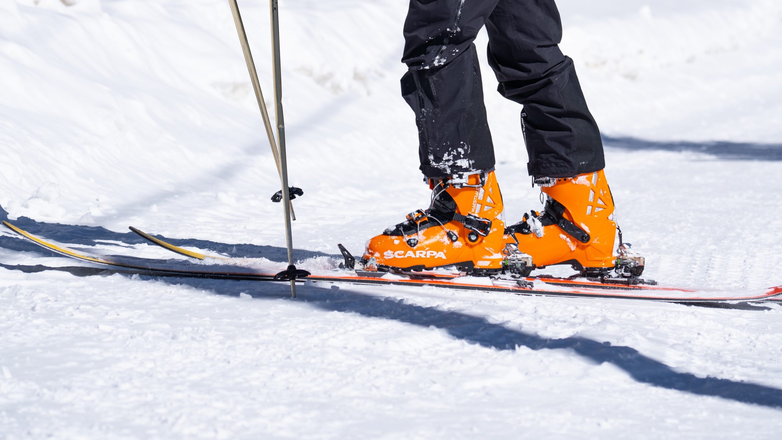 ELAN Shop -ELAN Shop best ski boots for intermeiate skiers scaled 1